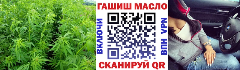 Купить где Звенигово ТГК концентрат
