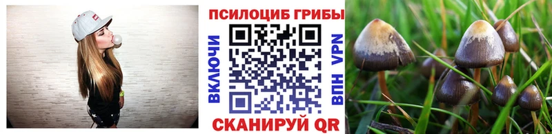 Галлюциногенные грибы мухоморы  Купить закладки  Звенигово 