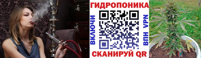 Купить закладки Звенигово Бошки Шишки гибрид